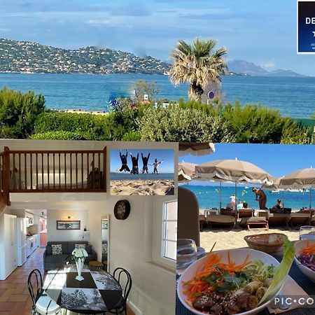 Sainte Maxime France 4 Etoiles Front De Mer Plage De La Nartelle 外观 照片